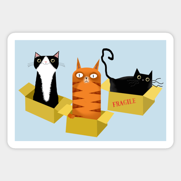 Cats in Boxes Magnet by Scratch